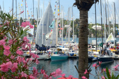 2014 Newport Bermuda Race Scenic