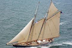 COLUMBIA	Martin Sutter	Fishing/Racing Schooner	"CCA, NYYC"	Super Yacht	340/ Photo Credit: Daniel Forster