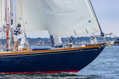 24NPTBDA_SC_02849